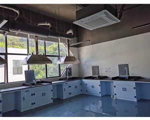 PP邊臺(tái) 實(shí)驗(yàn)室設(shè)備實(shí)驗(yàn)臺(tái)